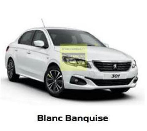 Peugeot 301 Allure 1.6 HDI 92 cv BVM5