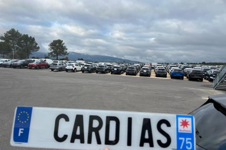 CARDIAS EXPORT ALGERIE