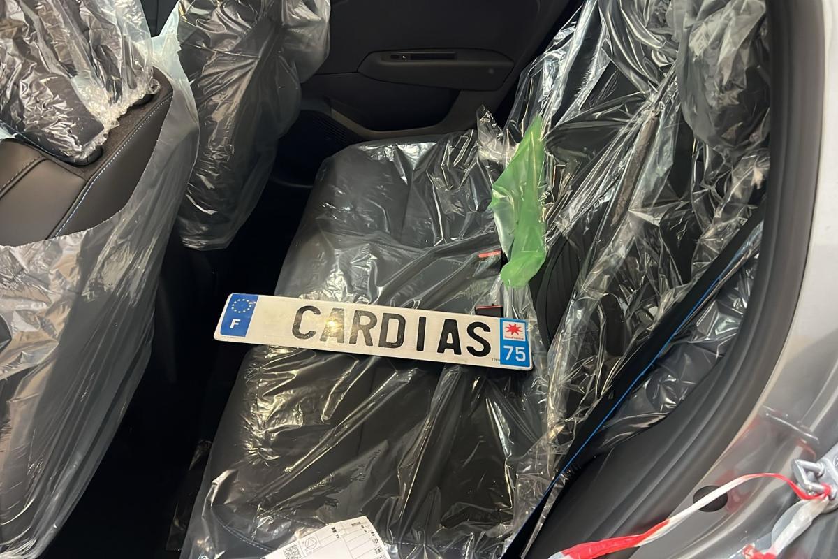 RENAULT CLIO ALPINE GRIS  SCHISTE 12