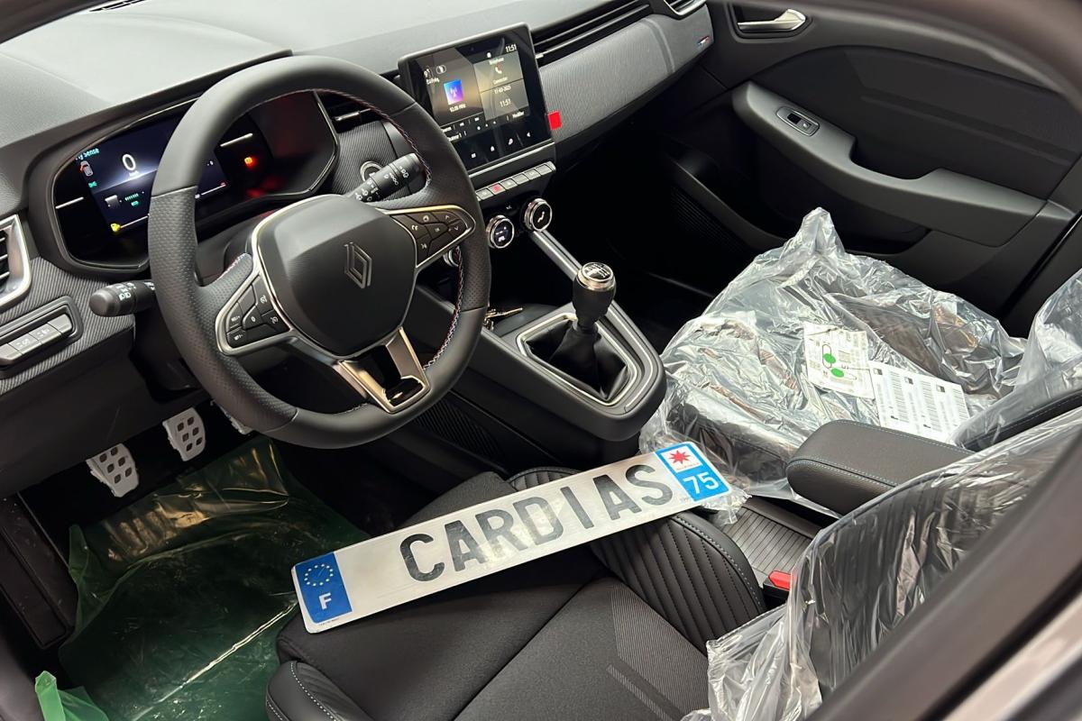 RENAULT CLIO ALPINE GRIS  SCHISTE 13